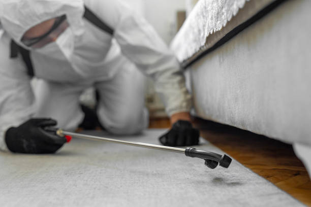 Professional Bed Bug Control technician working in West Chatham, MA