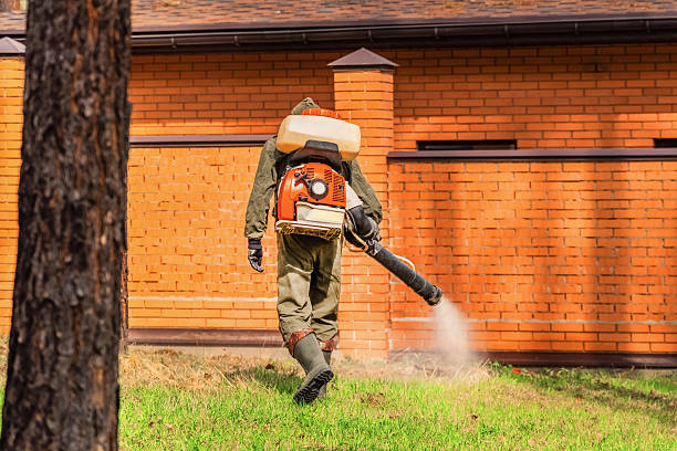 Trusted Bed Bug Control service in West Chatham, MA - Nex Pest Control